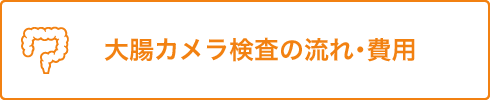 大腸カメラ検査の流れ･費用